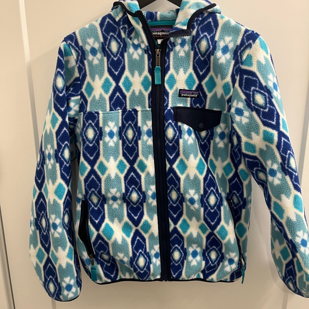 Patagonia Synchilla Blue and White Fleece